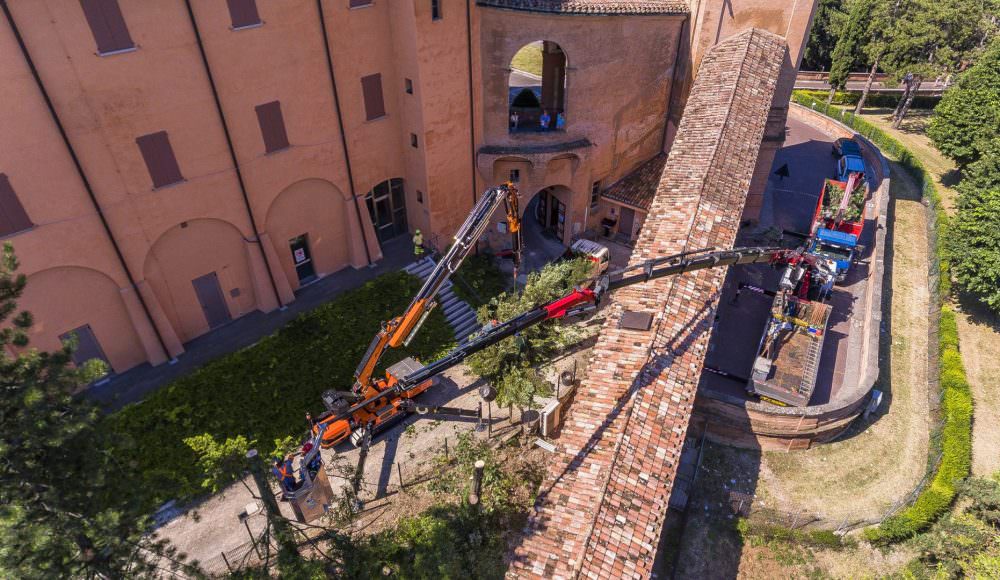 JF545-Bendini_02-scaled