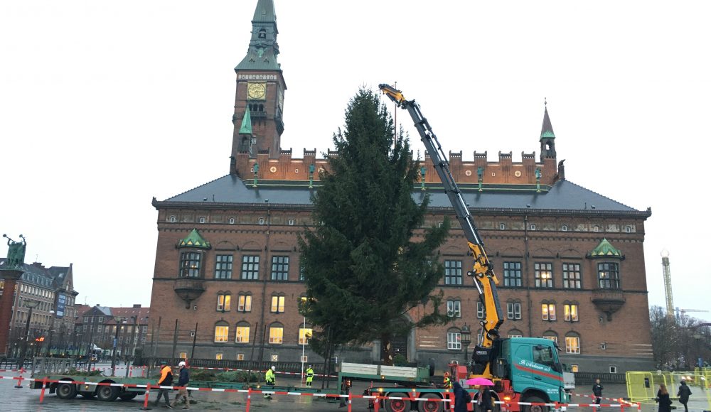 Fassi-F1150RA-2-28-L616-xhe-dynamic-for-Christmas-tree-in-Copenhagen-3